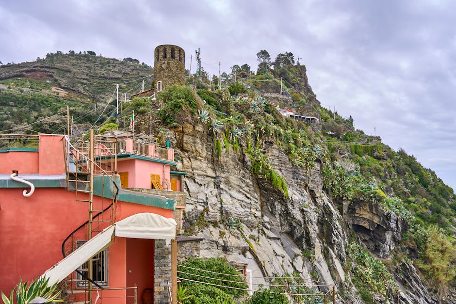 Riomaggiore vineyard terrace trail midday