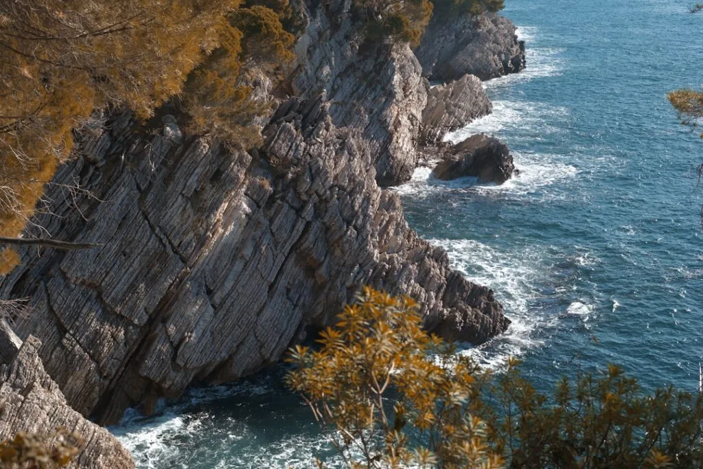 Falaises striées plongeant dans la mer turquoise des Cinque Terre, pins en avant-plan