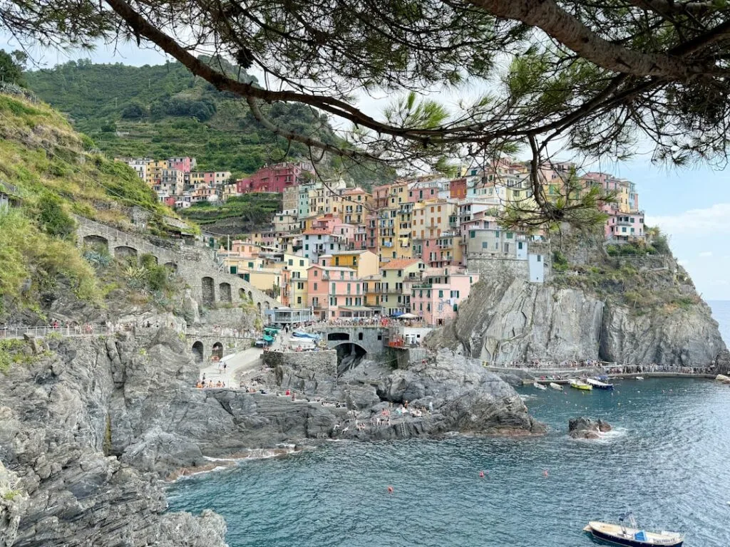 Vue des maisons colorées de Manarola à travers des branches, Cinque Terre.