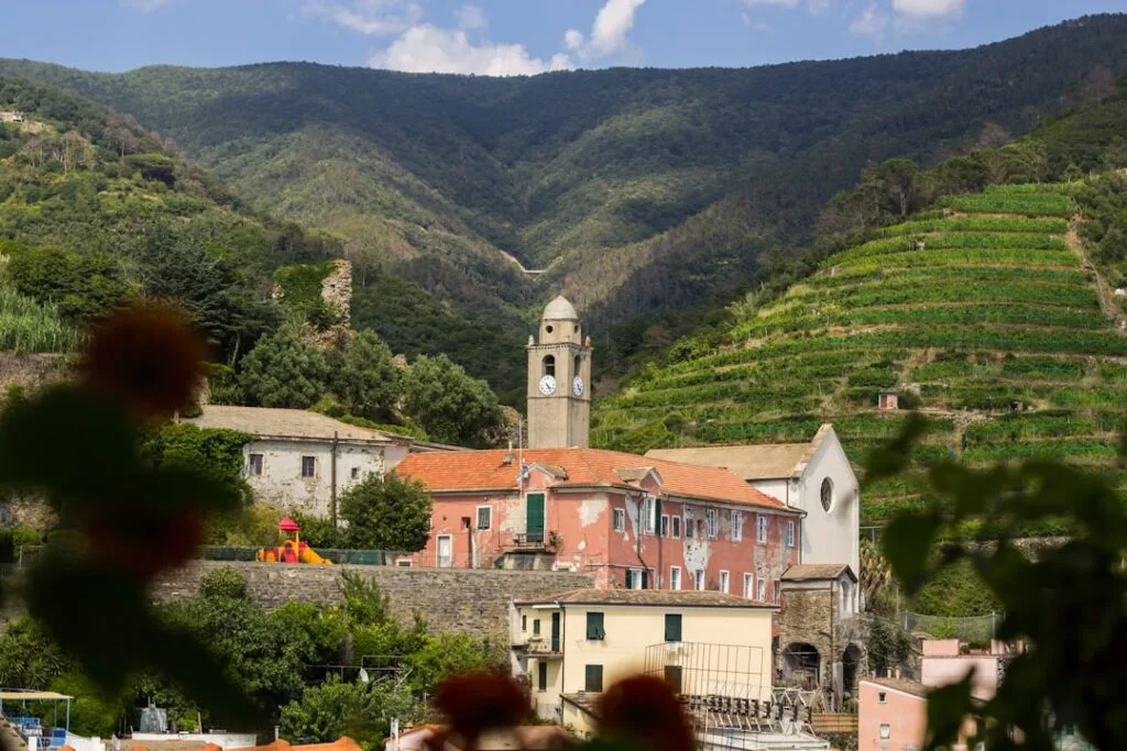 Clocher et maisons roses encadrés par les terrasses de vignes, Cinque Terre