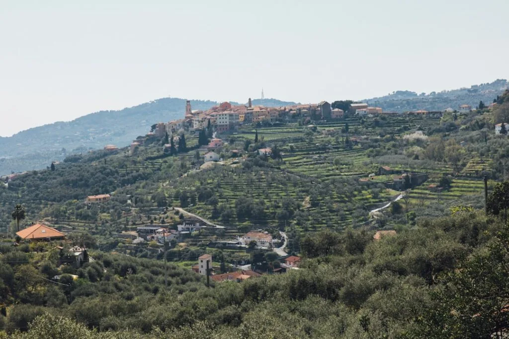 Huisjes en terrasvormige olijfgaarden op heuvels bij Cinque Terre