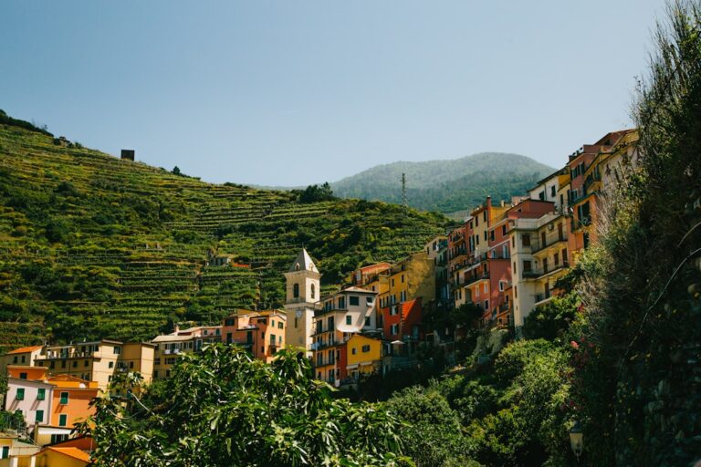 Festivals du vin et v Cinque-terre travel tourism landmark