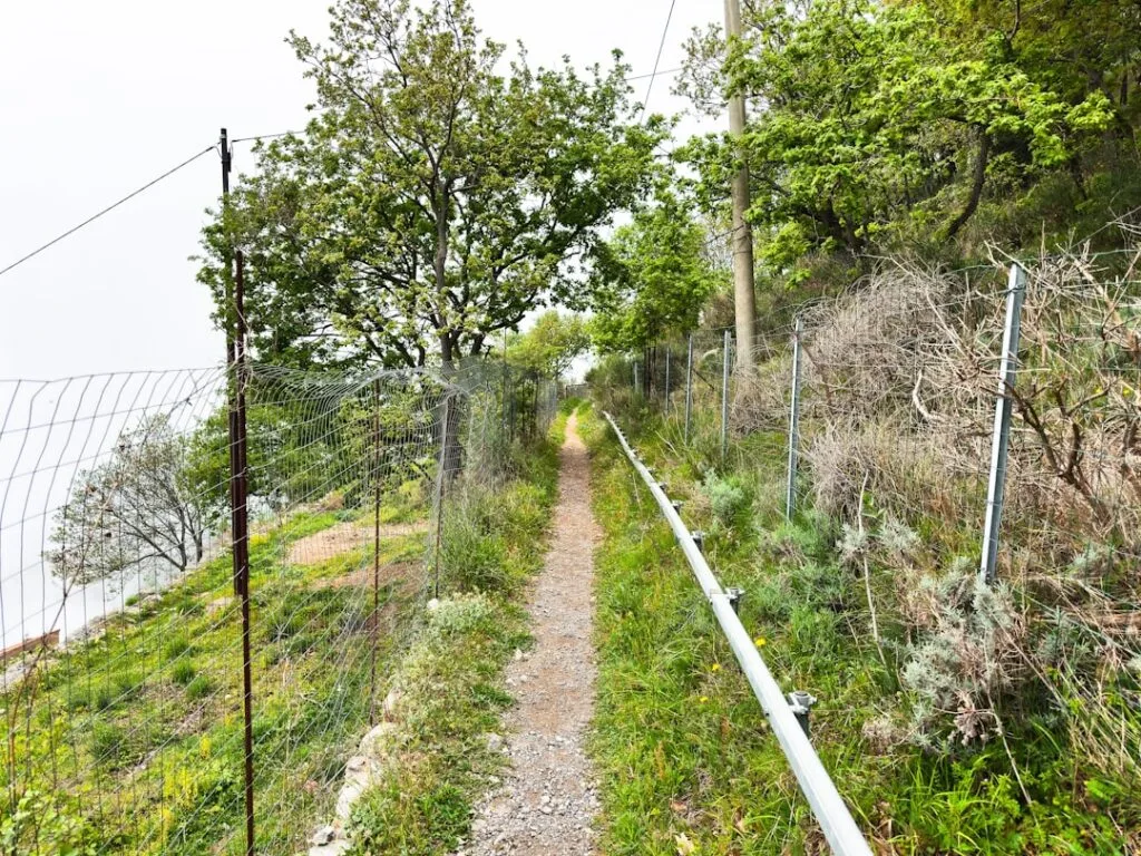 Sentier étroit des Cinque Terre entre grillages et végétation côtière